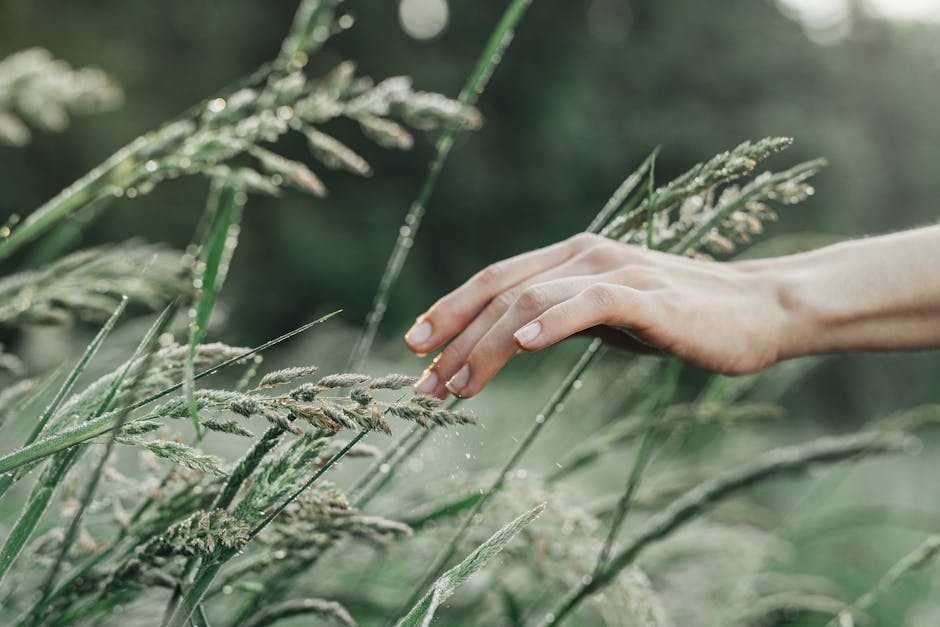A serene image of a hand gently touching grass covered in dew, symbolizing nature's tranquility.