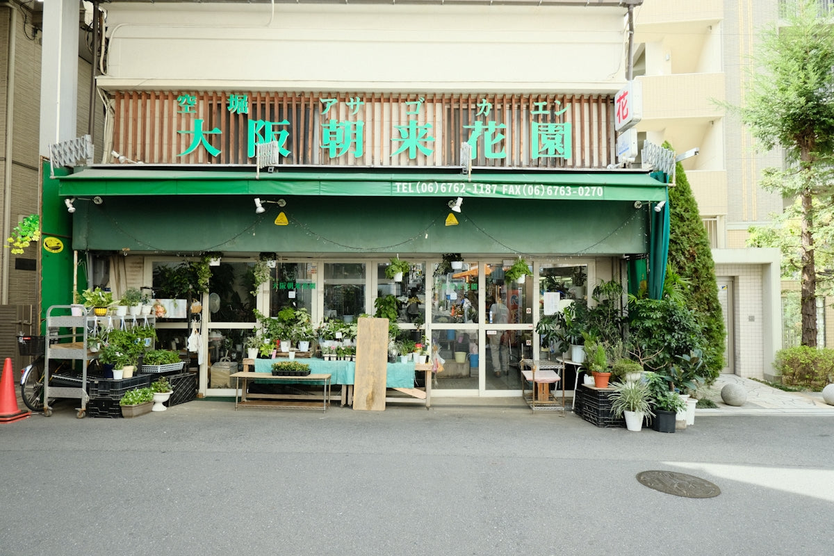 a store front with potted plants outside of it