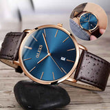 Luxury Men's Waterproof Watch