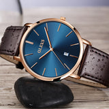 Luxury Men's Waterproof Watch