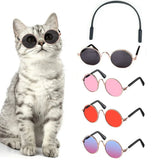Chat Chien Lunettes de soleil
