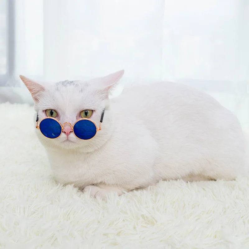 Cat Sunglasses Summer Outdoor Puppy UV Protection Sunglasses Dolls Sun Glasses Small Dog Cosplay Photo Props Cute Pet Sunglasses - Maliame Store