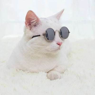 Cat Dog Sunglasses