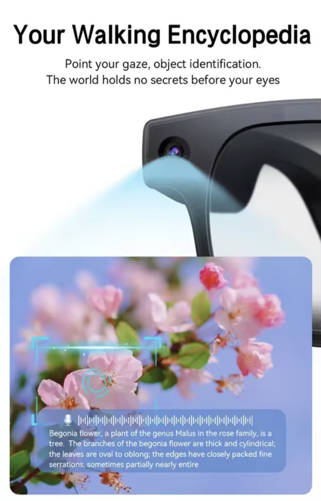 Smart AI glasses 8MP Camera, Multifunction translation, music, call - Maliame Store