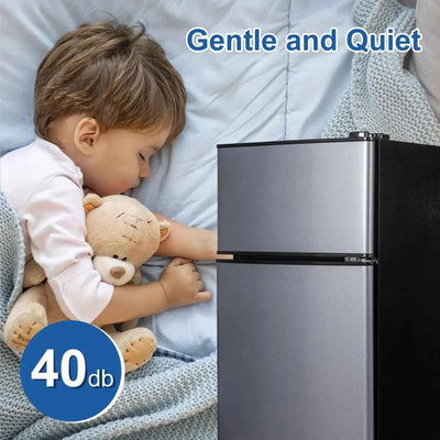 Mini Fridge with Freezer