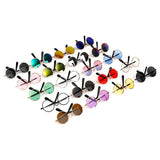 Chat Chien Lunettes de soleil