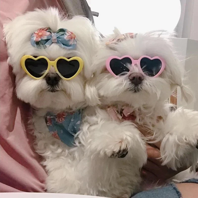 для собак Dog Glasses Pet Heart Glasses Cat Accessories Puppy Photos Tools Decorations for Dog Summer Party Eyewear Glasses - Maliame Store